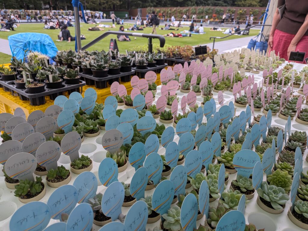 日比谷公園ガーデニングショー
多肉イベント情報