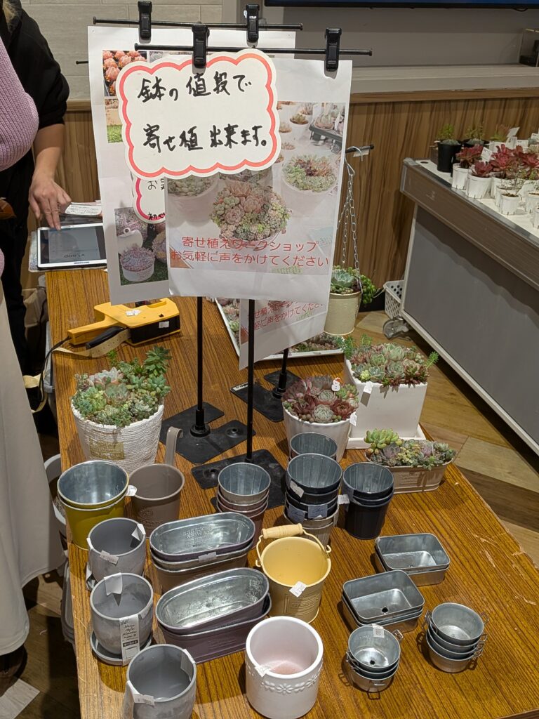 「多肉園おひさま」さんの寄せ植えワークショップ