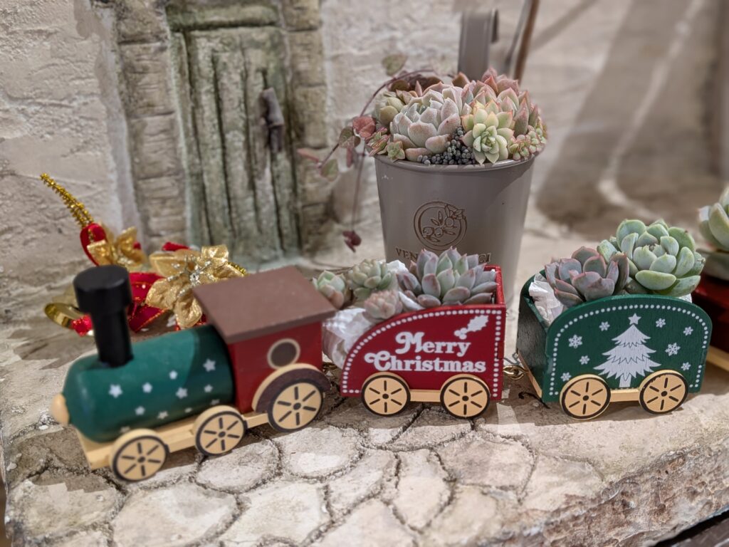 「多肉園おひさま」さんの多肉植物フォトスポット