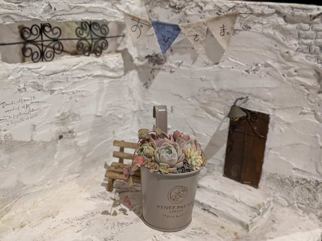 「多肉園おひさま」さんの多肉植物フォトスポット